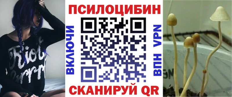 Псилоцибиновые грибы GOLDEN TEACHER  Купить где  Билибино 